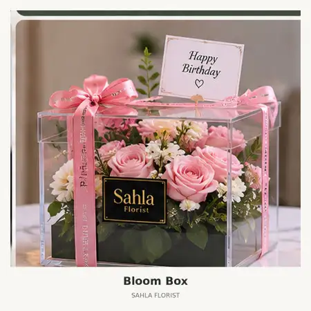 Bloom Box Takalar